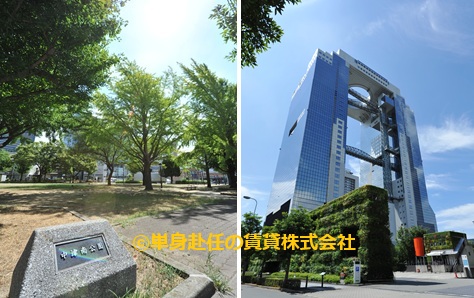 クレイドル梅田、大浴場付き賃貸マンション、大阪単身赴任賃貸、公園