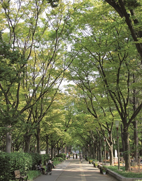 パークアクシスうつぼ公園、靭公園、単身赴任の賃貸株式会社