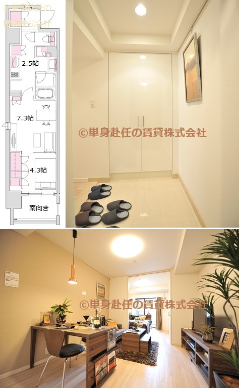大阪賃貸家具付きマンションのパークアクシス本町、大阪の賃貸家具付きマンションのパークアクシス本町、A